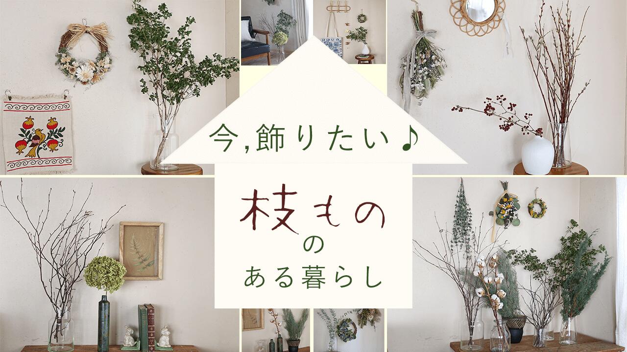 楽天市場 | ドライフラワー雑貨・花七曜 - 今、飾りたい！枝もの特集