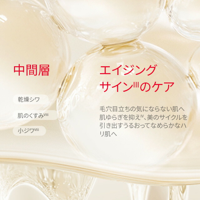 楽天市場】【公式】ピテラ ベスト コレクション (リニュー