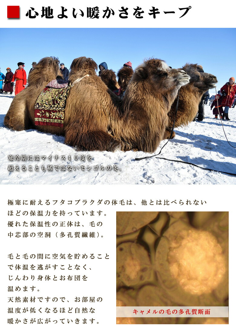 楽天市場】イワタ キャメル敷き布団 ダブル 140×200cm (レギュラー