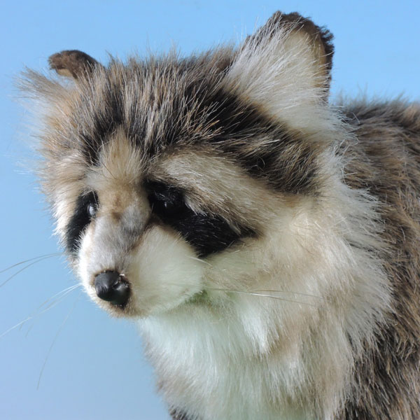 楽天市場】HANSA ハンサ ぬいぐるみ アライグマ 38 : SmileVillage