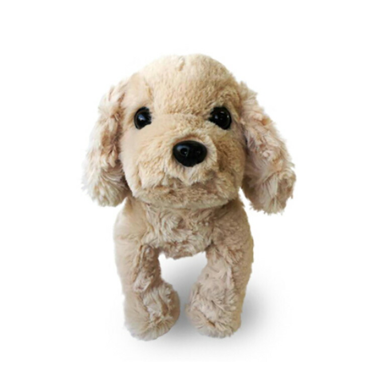 楽天市場】わんこ ぬいぐるみ コッカースパニエル 犬 入学祝い 女の子