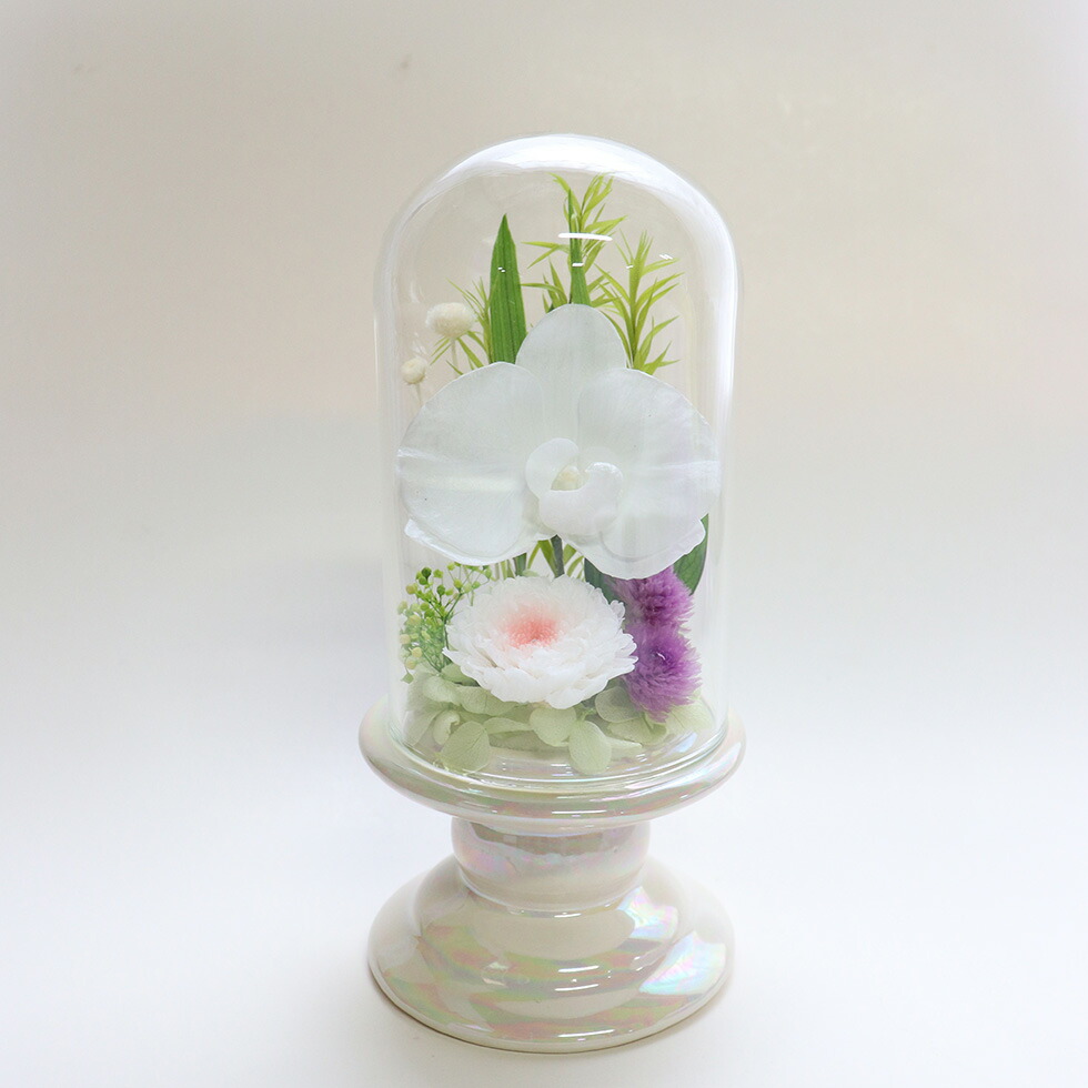 楽天市場】お供え 胡蝶蘭 プリザーブドフラワー 初盆 お供え ガラス