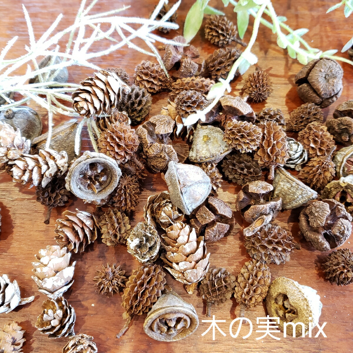 楽天市場】松ぼっくり 木の実 アロマワックスバー キット ボタニカル