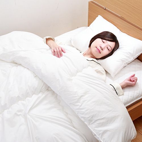 楽天市場】【P10倍 ※2/25迄】昭和西川公式 SNフレッシュプロ 3点セット