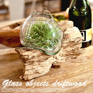 楽天市場】ガラスオブジェ 流木 TTZ-311インテリア 置物 ガラス