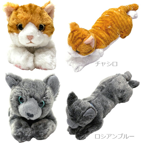 楽天市場】サンレモン ひざねこ S トラ/ミケ/オッドアイ/ロシアン