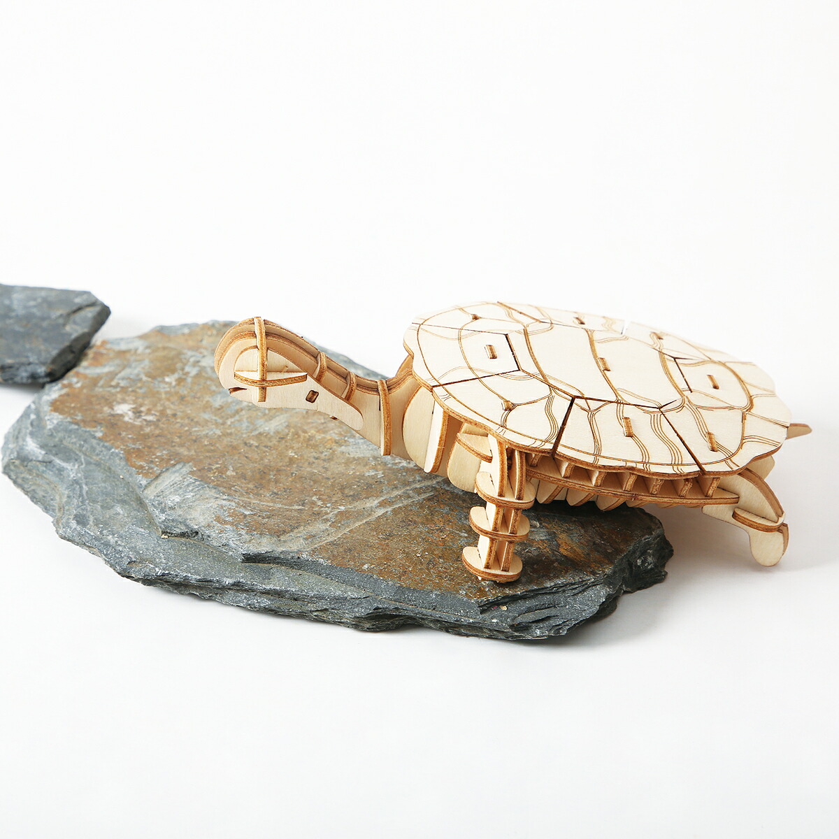 楽天市場】【公式】つくるんです「カメ」TG275／あんしん日本語説明書