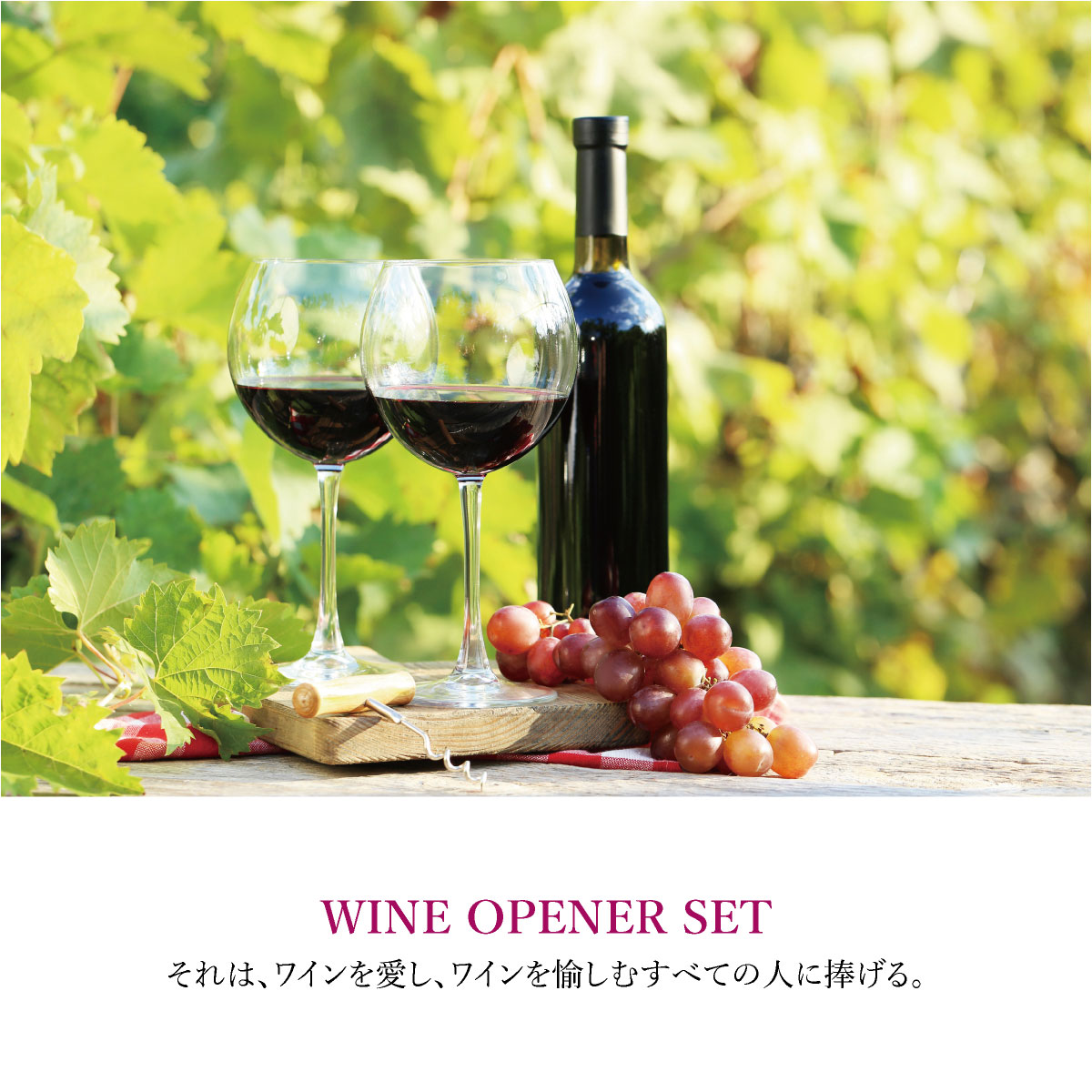 楽天市場】＼楽天ランキング 1位獲得／ ワインオープナー ワイン