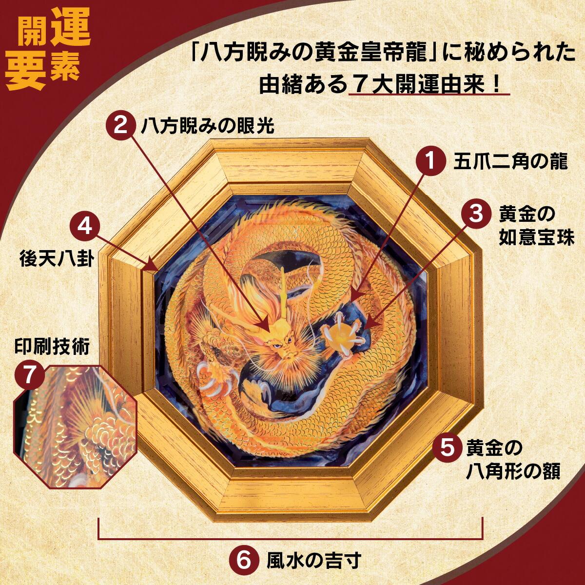 楽天市場】化殺風水『八方睨みの黄金皇帝龍』 迫力抜群の八方睨み龍が