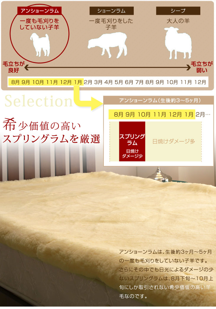 楽天市場】日本製 ムートンシーツ ダブル 抗菌 防ダニ 消臭 短毛