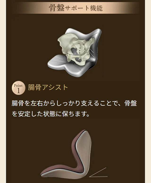 楽天市場】【メーカー正規販売店】 スタイルプレミアム Style PREMIUM