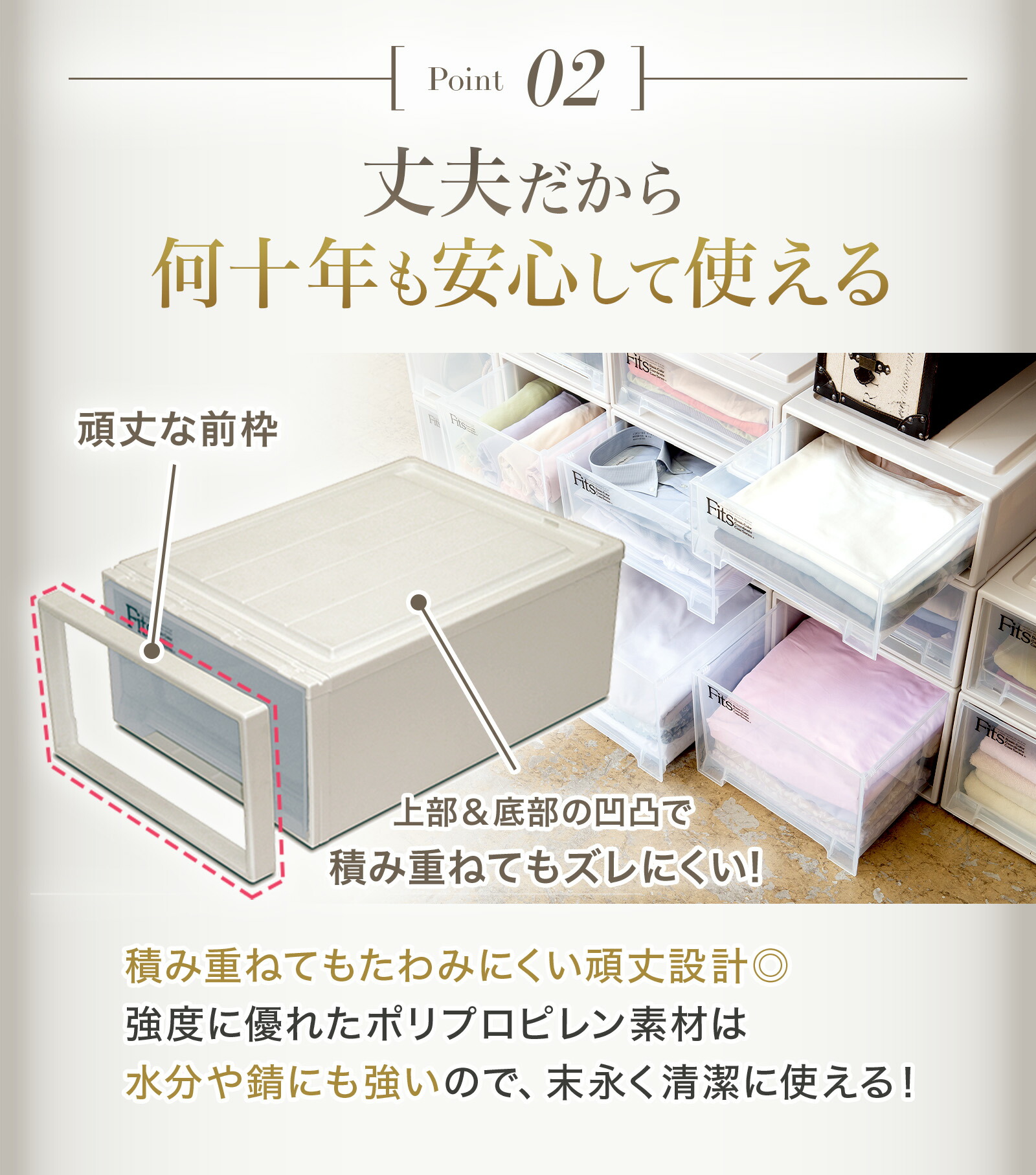 楽天市場】【公式店限定】フィッツケース ディープL クラシック