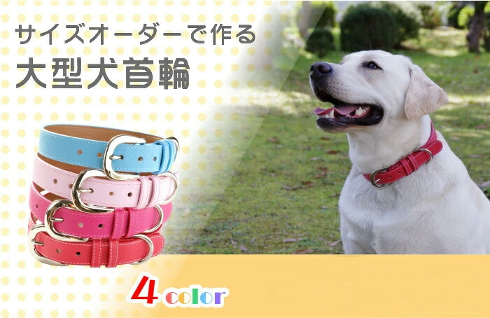 CDO-HOHS25CBU〈TN〉】犬の首輪〈サイズ「L」〉牛革人気