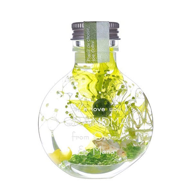 楽天市場】【平日7日以内に出荷】名入れ ハーバリウム S グリーン