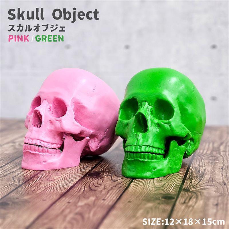 楽天市場】ガイコツ 置物 ドクロ 置物 スカル オブジェ スカルヘッド