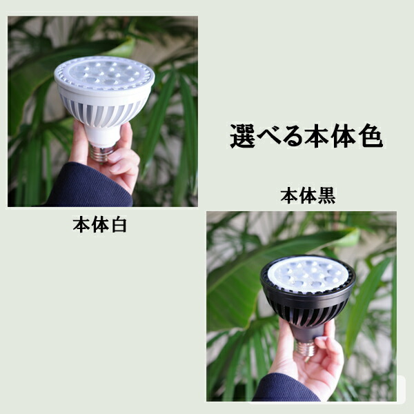 楽天市場】観葉植物 育成ライト 正規取扱い店 ホワイト ブラック WHITE