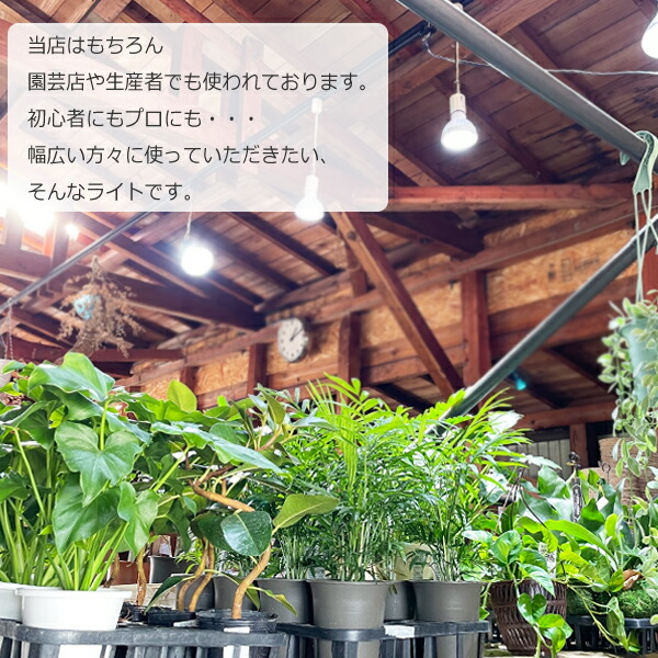 楽天市場】PLANTS NEXLIGHT 選べる色 正規取扱い店 観葉植物 育成