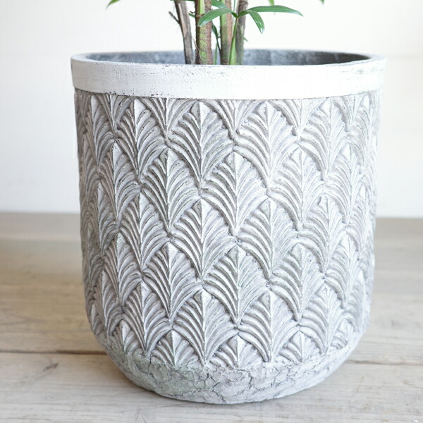 楽天市場】棕櫚竹 シュロチク 8号 ファイバーセメント鉢カバー付