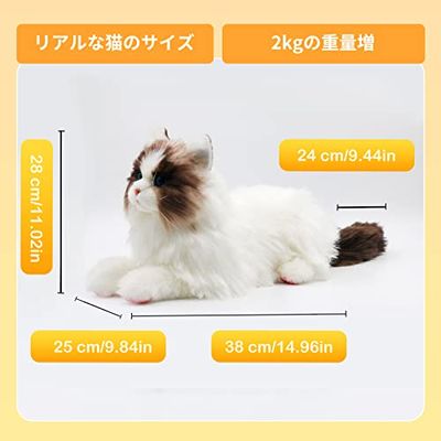 楽天市場】Chongker 猫ぬいぐるみ リアル 本物そっくり ハンドメイド
