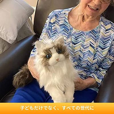 楽天市場】Chongker 猫ぬいぐるみ リアル 本物そっくり ハンドメイド