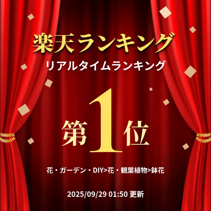 楽天市場】【 世界初！天然の青色 胡蝶蘭 】ブルージーン Blue Gene 1