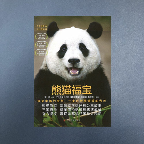 楽天市場】【訳あり 店頭展示品】『熊猫福宝』【 輸入書 簡体字