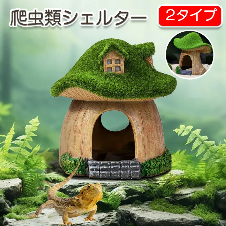 楽天市場】爬虫類 シェルター キノコシェルター 隠れ家 バスキング