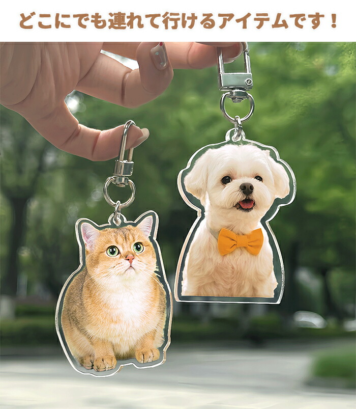 楽天市場】キーホルダー 写真入れ アクリル ペット アクリル