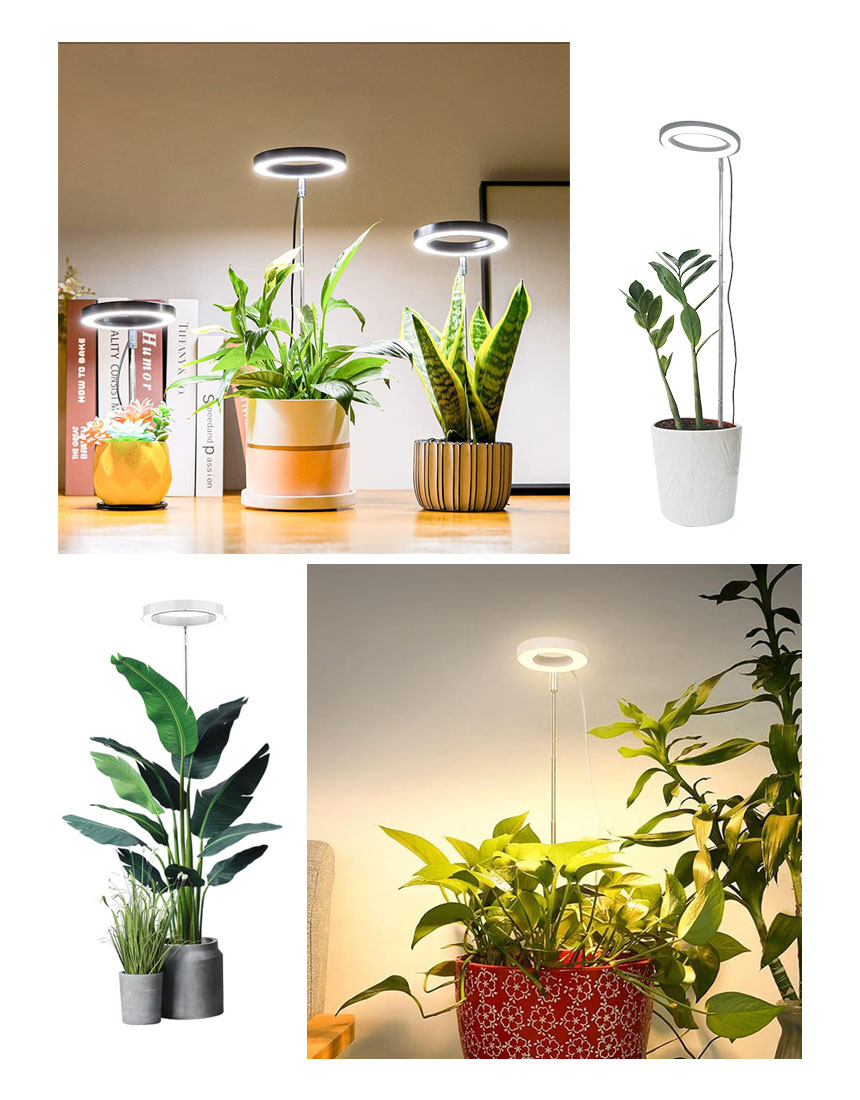 楽天市場】☆期間限定！ポイント5倍☆植物育成ライト LED タイマー