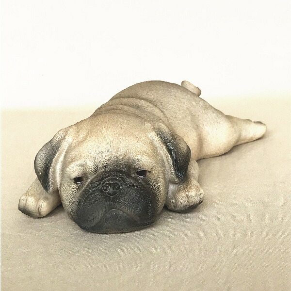 楽天市場】パグ置物 犬 いぬ 伏せ 寝そべり dog インテリア 可愛い