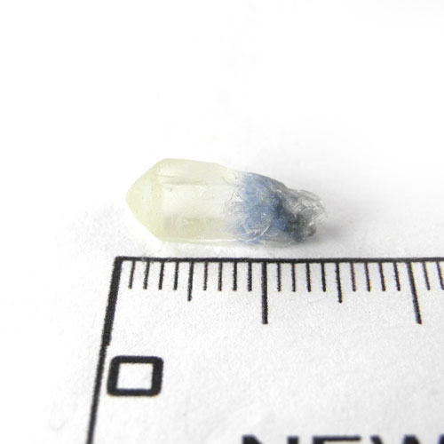 楽天市場】【クーポンで10%OFF】デュモルティエライト デュモルチェ