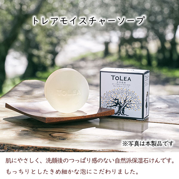 楽天市場】＼2/23(月)1:59までラストスパート！5%OFFクーポン／ トレア