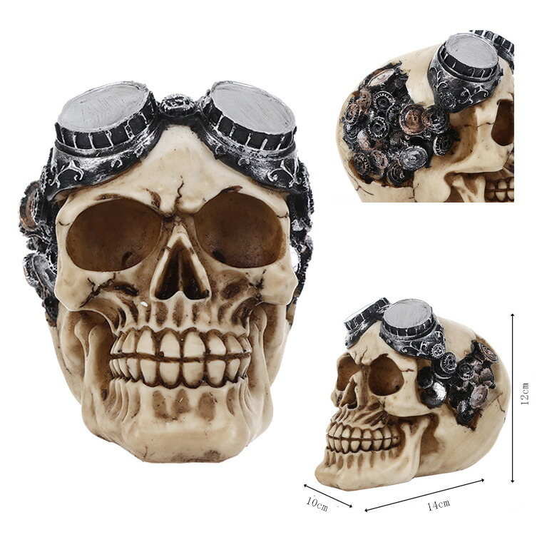 楽天市場】スカル ドクロ 置物 ガイコツ 海賊 ハロウィン 骸骨 髑髏