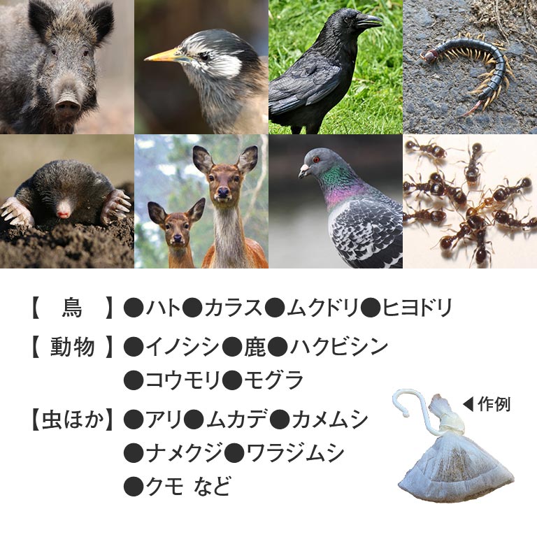 楽天市場】ヒトデのおかげ 2kg - 忌避剤 忌避 害獣 害虫 害鳥 対策