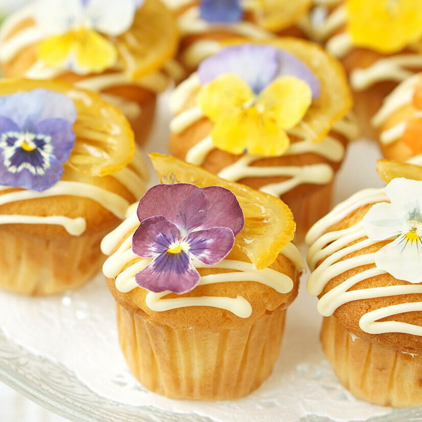 楽天市場】うずの華 【送料無料】＜50枚＞ドライエディブルフラワー