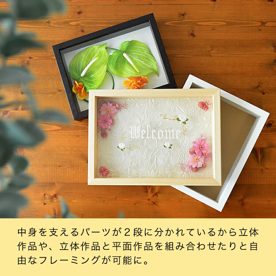 楽天市場】ボックスフレーム 立体額 セパレートタイプ 20角 200×200