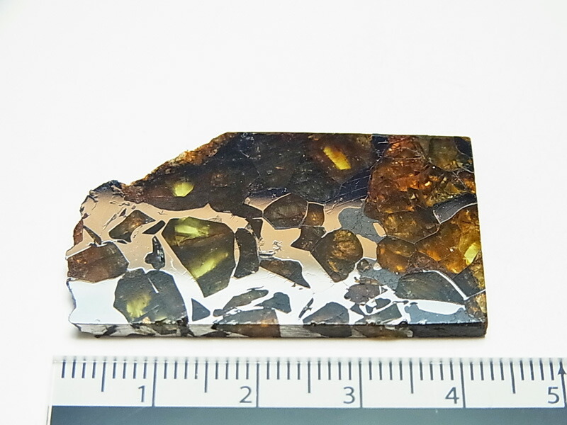 楽天市場】セイムチャン隕石 (SEYMCHAN) パラサイト 隕石【ロシア産