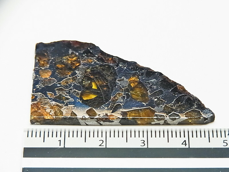 楽天市場】セイムチャン隕石 (SEYMCHAN) パラサイト 隕石【ロシア産