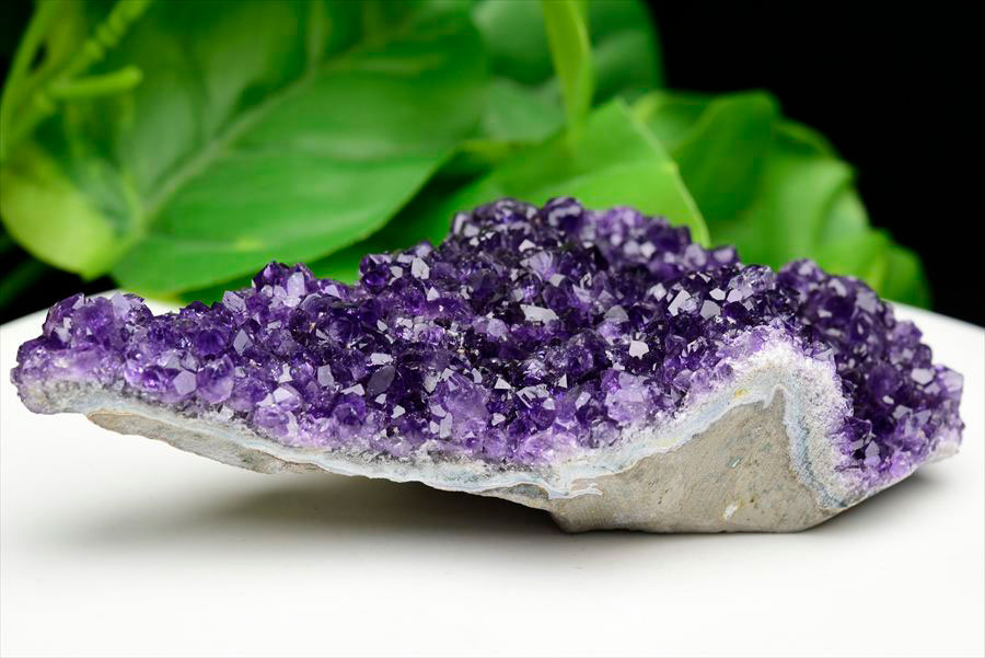 楽天市場】フラワー アメジスト クラスター 原石 ◇ウルグアイ
