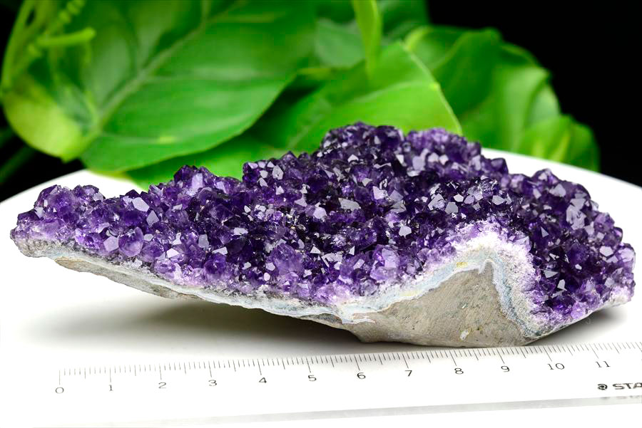 楽天市場】フラワー アメジスト クラスター 原石 ◇ウルグアイ