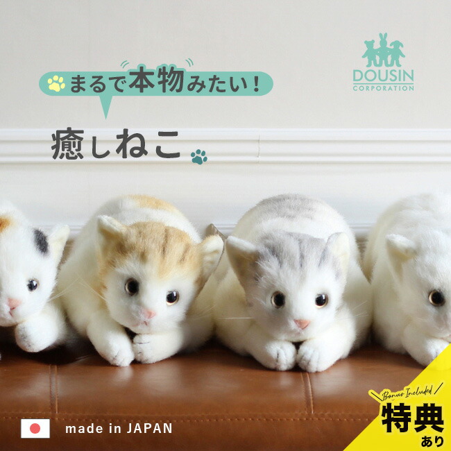 楽天市場】＼特典あり／猫のぬいぐるみ 58cm [本物みたいな リアル