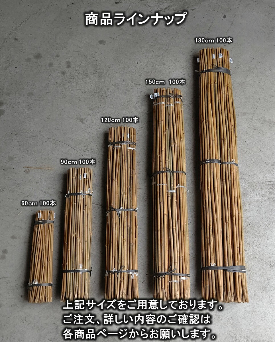 楽天市場】女竹 180cm 100本 農業用、園芸用の支柱として幅広くご利用