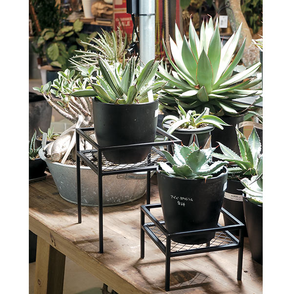 楽天市場】最大3000円OFFクーポンあり フラワースタンド プランター