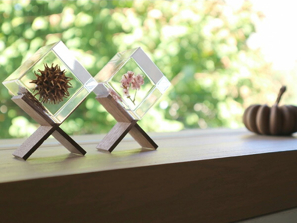 楽天市場】ソラキューブ 専用 スタンド 茶 白 Sola cube 宙 メール便