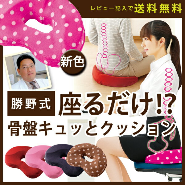 楽天市場】【医学博士監修】 骨盤矯正 姿勢矯正 クッション 腰痛