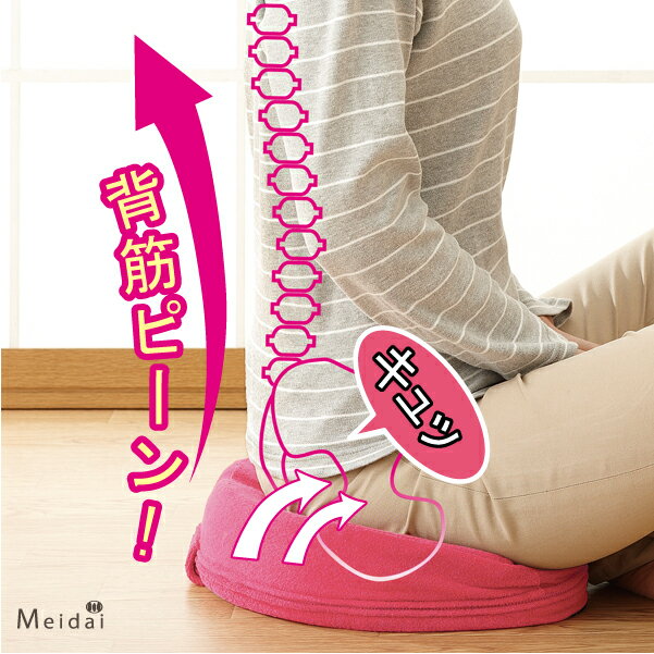 楽天市場】【医学博士監修】 骨盤矯正 姿勢矯正 クッション 腰痛