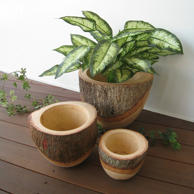 楽天市場】木製プランター マンゴーの木 鉢カバー 鉢入れ プランター