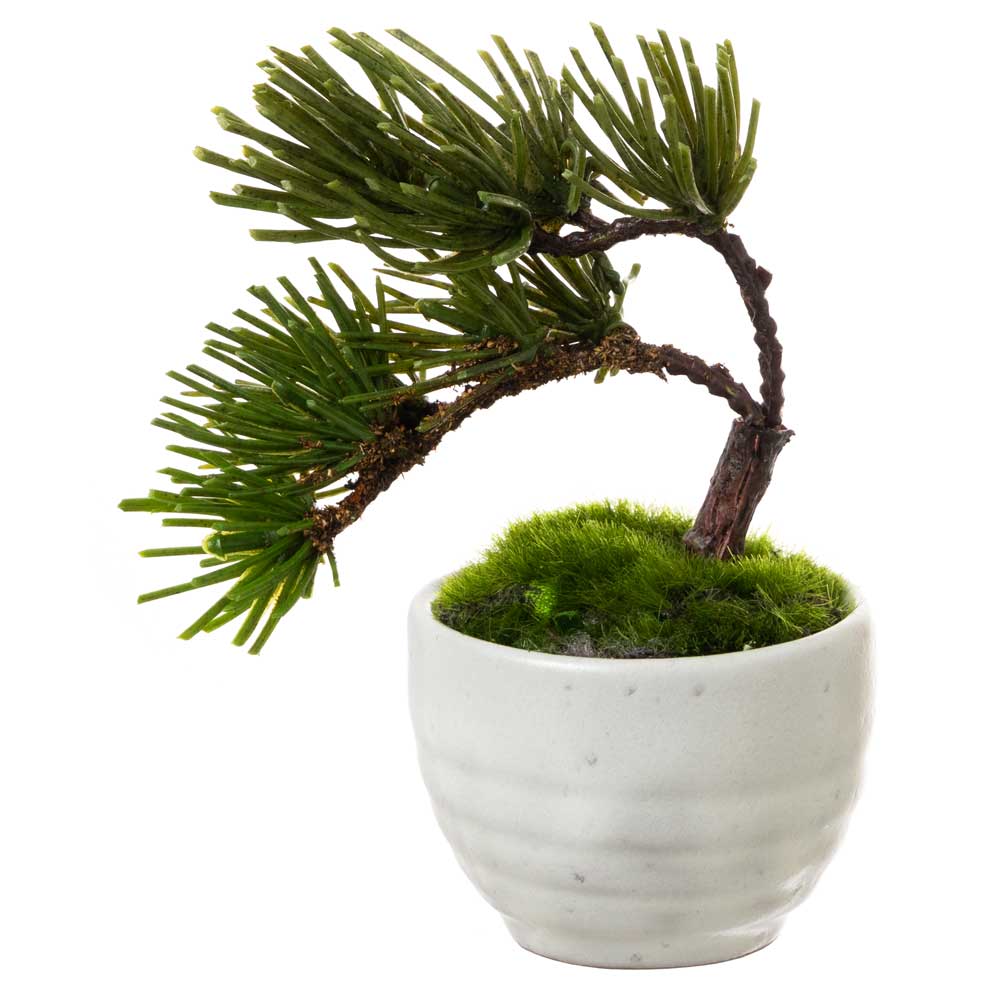 楽天市場】フェイクアート盆栽 然-ZEN- 寸-SUN-スモール 無地白鉢 本物