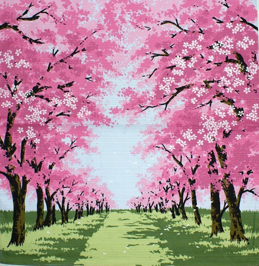 楽天市場】【 風呂敷 】 桜並木 ブルー 綿 小風呂敷（約50cm巾