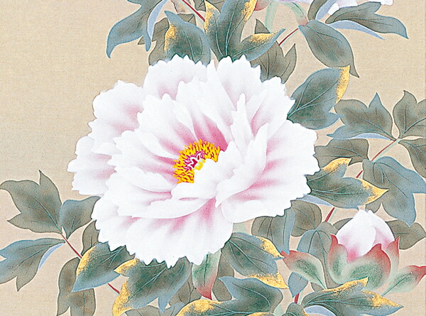 楽天市場】掛け軸 掛軸（かけじく） 富貴花（松村 朱夏） 全国送料無料